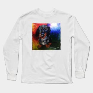 All the colours of a dachshund Long Sleeve T-Shirt